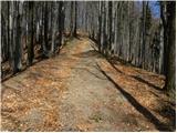 Petrovo Brdo - Planina Za Črno goro